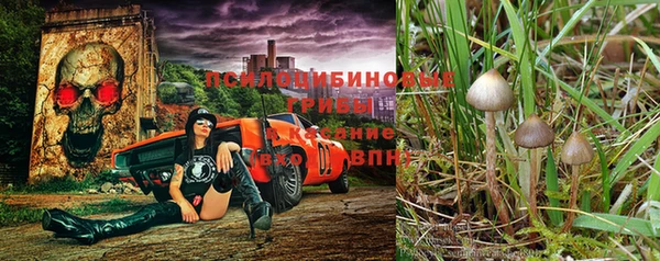мескалин Абдулино
